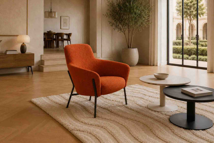Fauteuil LION