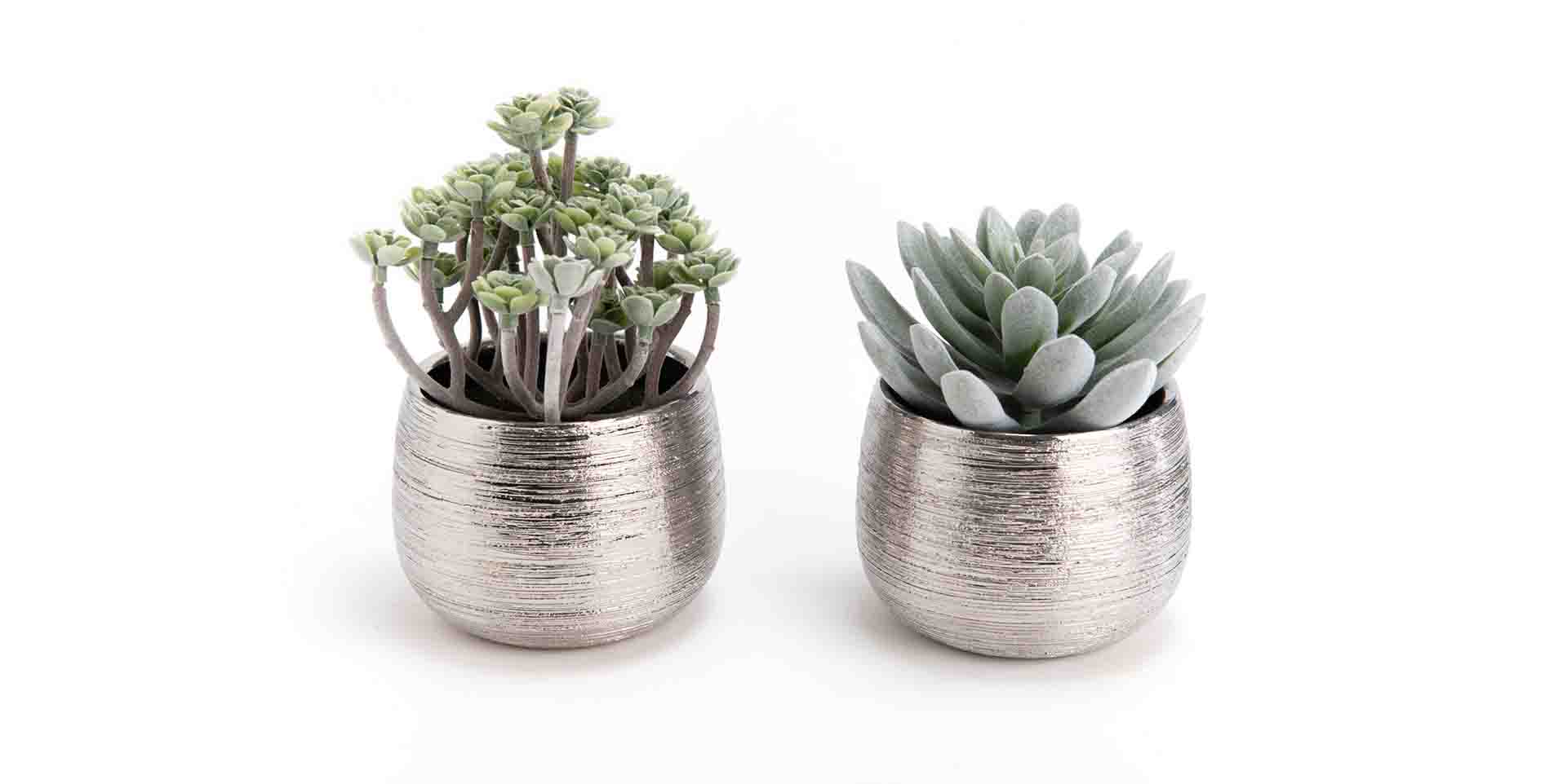 Slider CACTUS (image 1)
