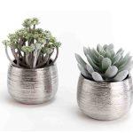 Miniature CACTUS (image 2)