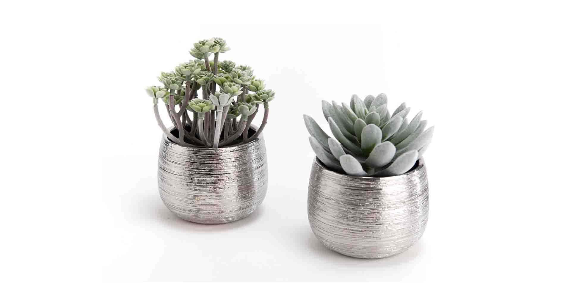 Slider CACTUS (image 2)